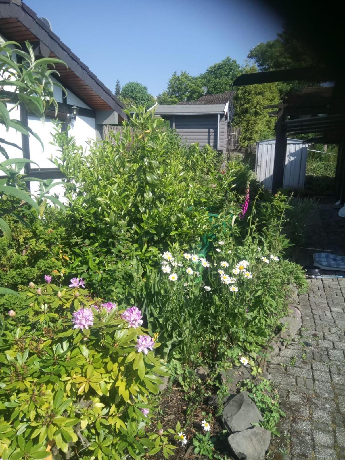 Haus Am Listersee Meinerzhagen Eksteriør bilde