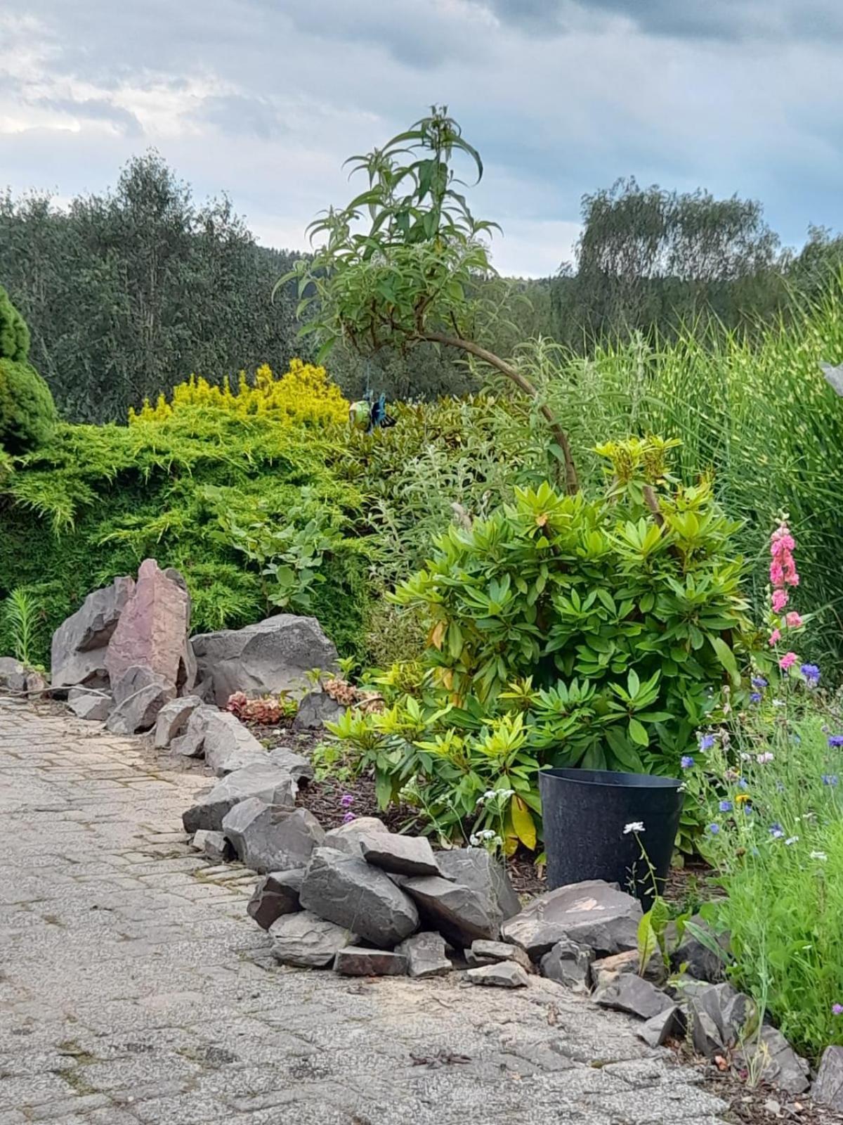 Haus Am Listersee Meinerzhagen Eksteriør bilde