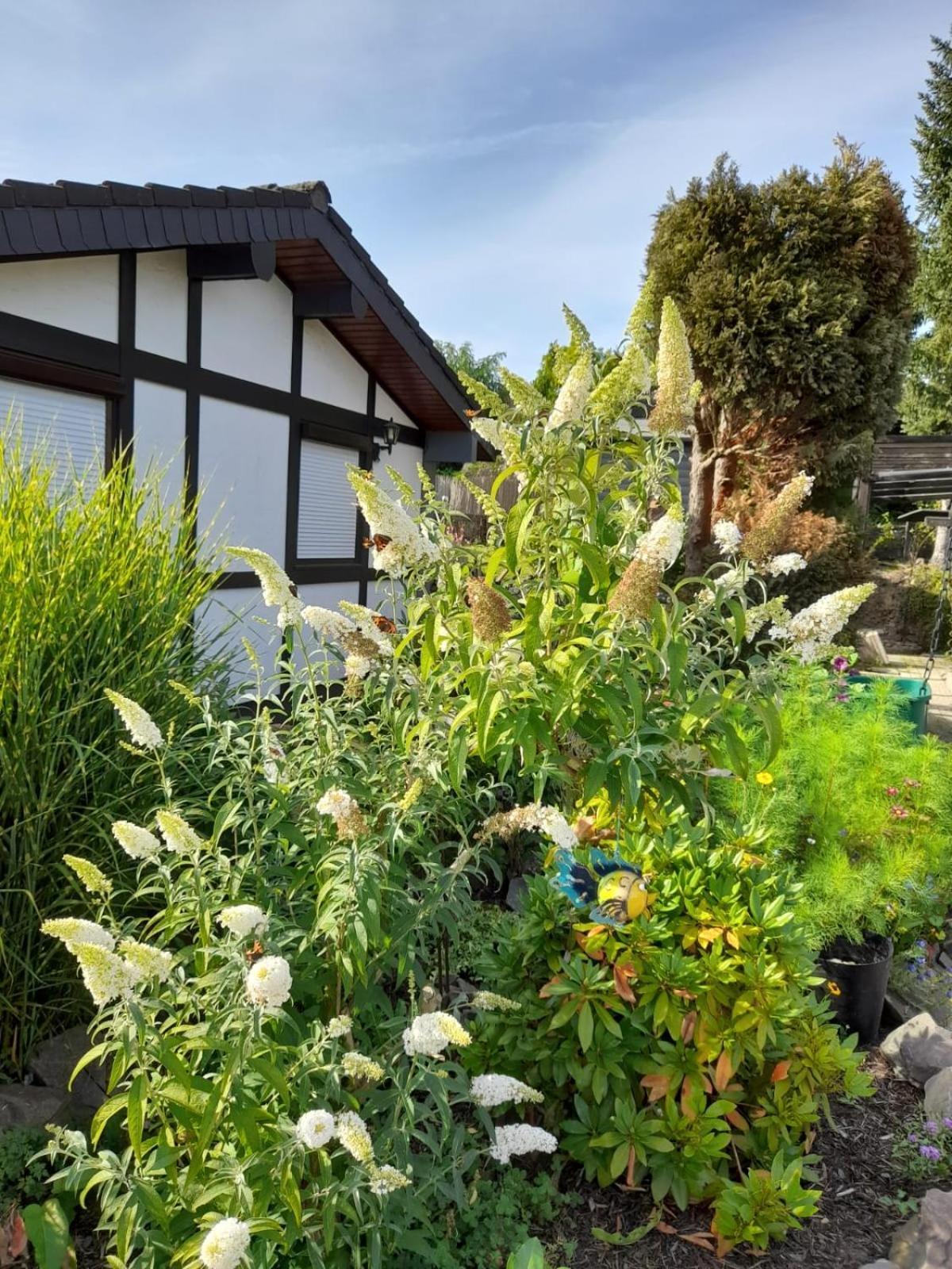 Haus Am Listersee Meinerzhagen Eksteriør bilde