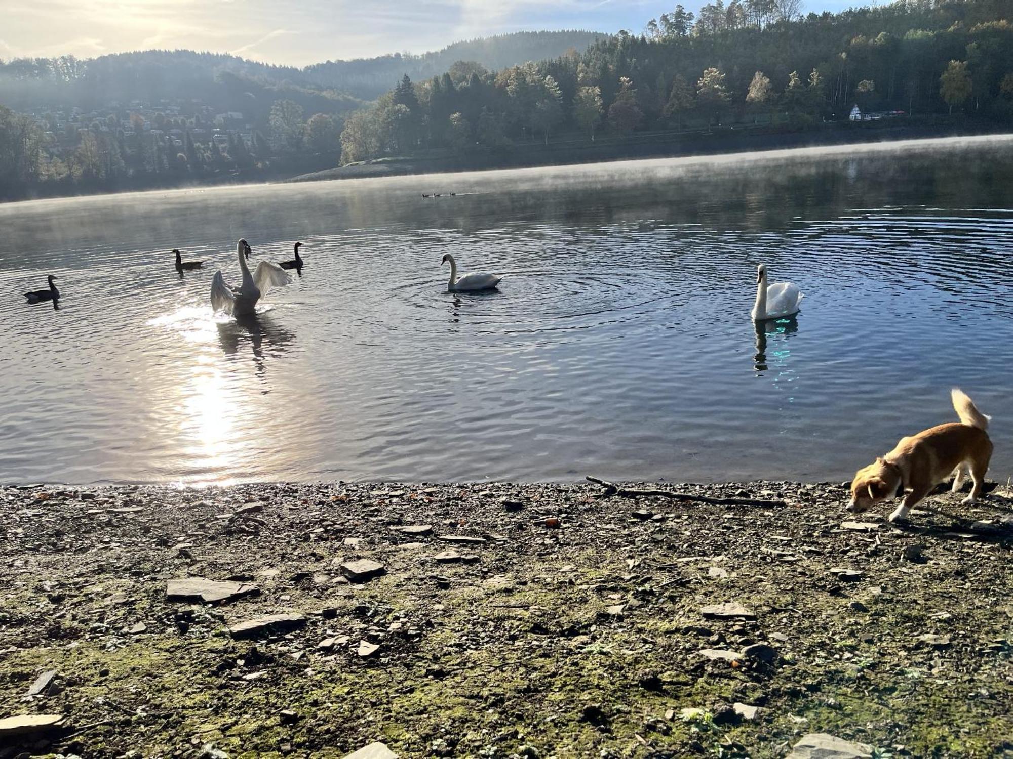 Haus Am Listersee Meinerzhagen Eksteriør bilde
